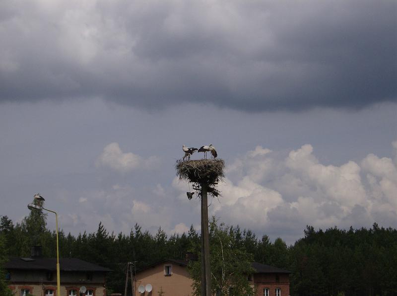 HPIM1647.JPG